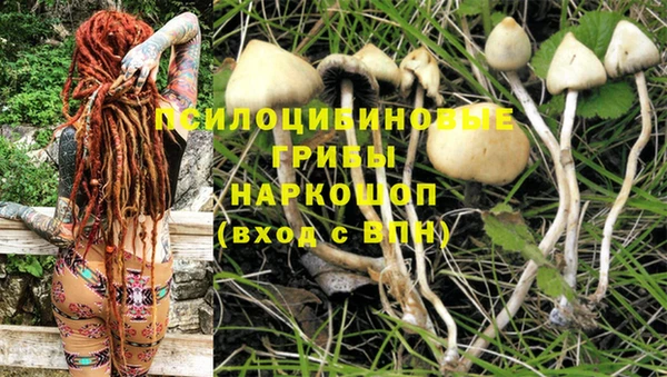 дживик Балабаново